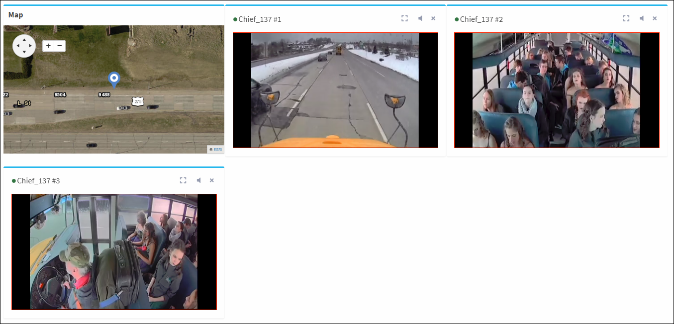 Live View Live View